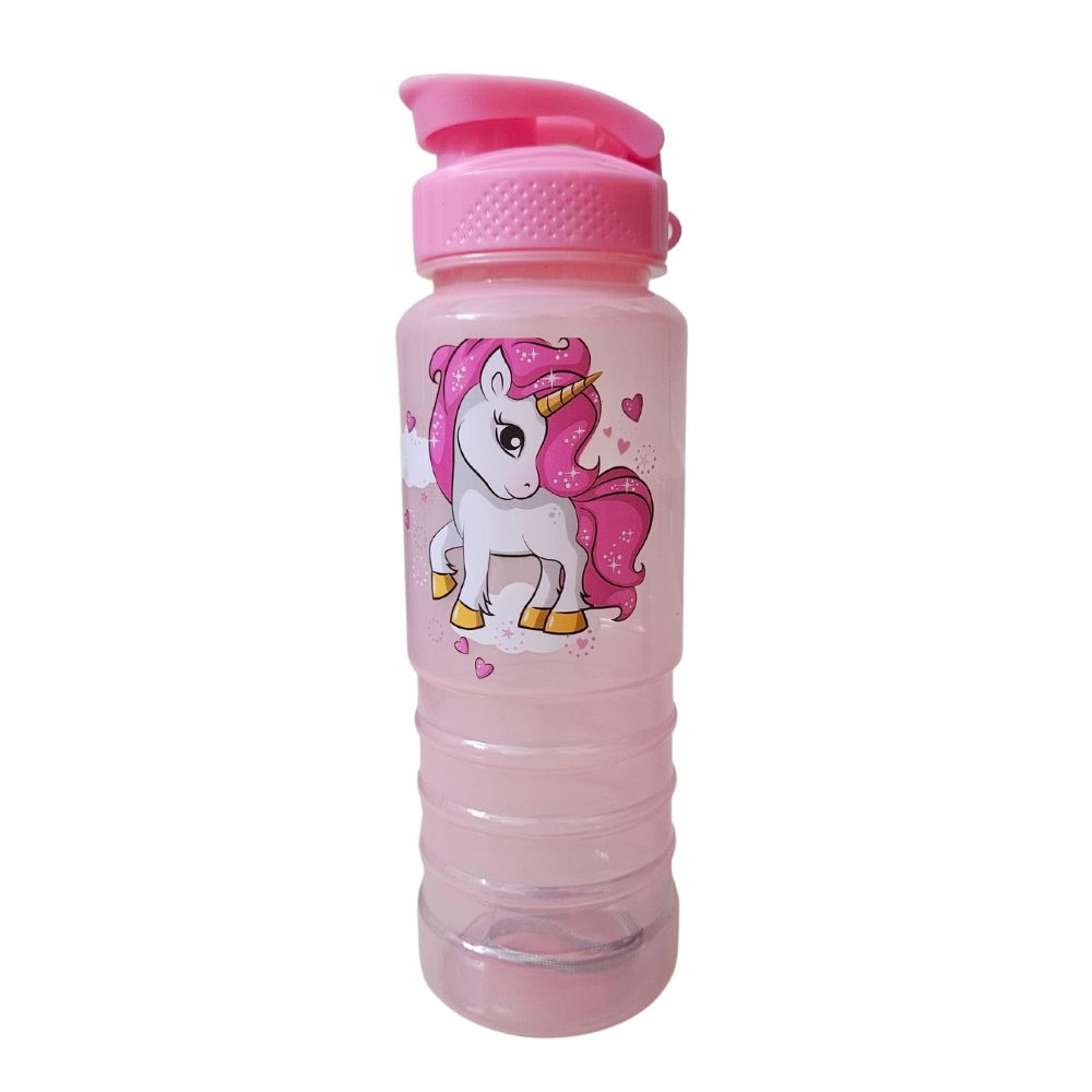 Water bottle Leakproof Sturdy BPA Free (750 ML)